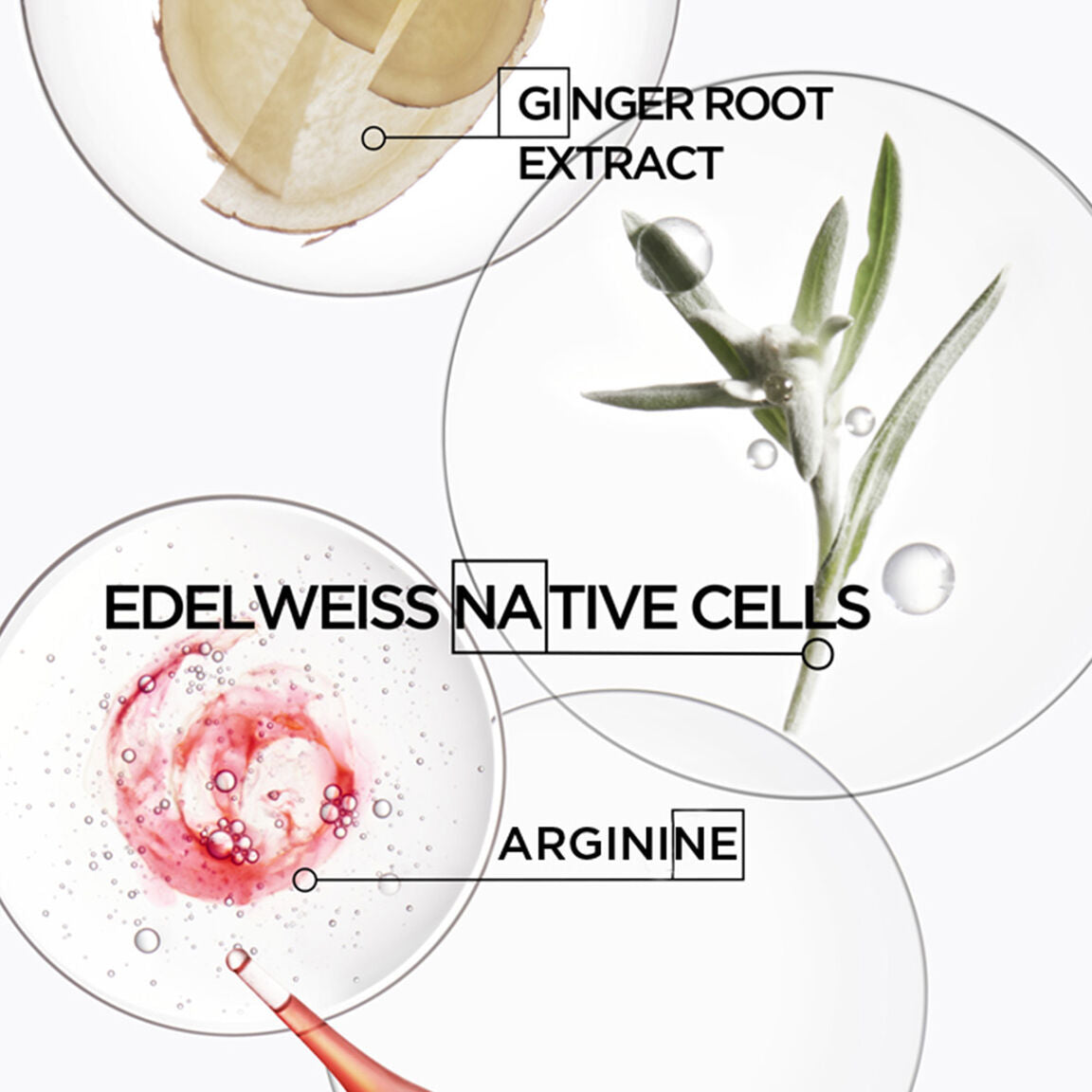 Kérastase | Genesis / Bain Nutri-Fortifiant